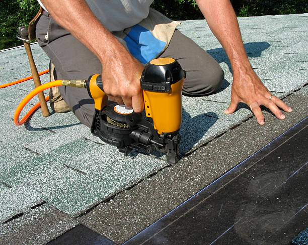 Best Roof Gutter Cleaning  in Brunswick, GA